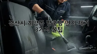 경산시 계양동 방충망 먼지 제거, 3가지 꿀팁 ✨
