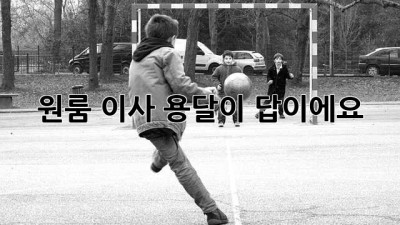 원룸 이사? 용달이 답이에요!
