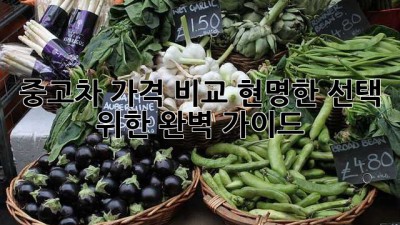 중고차 가격 비교: 현명한 선택 위한 완벽 가이드